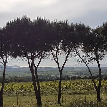 Villetta Ruja * Viddalba