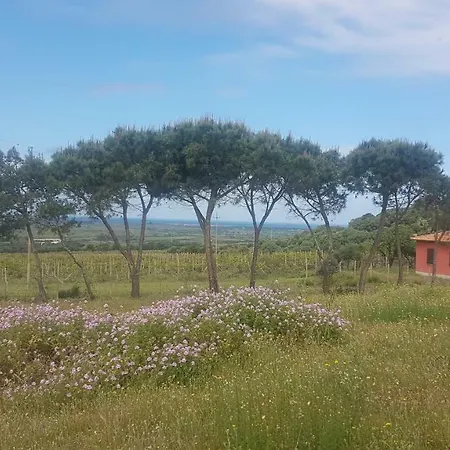Villetta Ruja * Viddalba