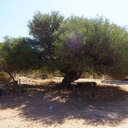 펜션 Villetta Ruja Viddalba